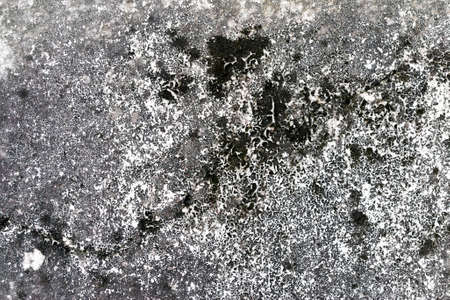 white concrete wall texture