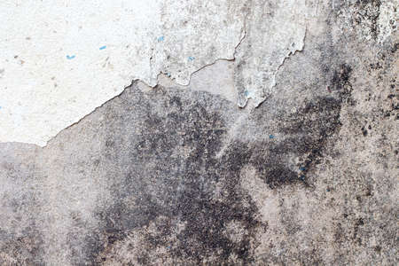 white concrete wall textureの写真素材