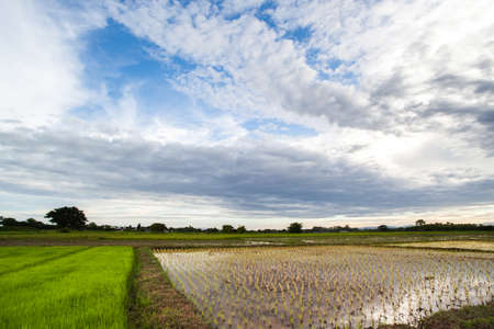 colorful dramatic sky with cloud at sunsetの写真素材