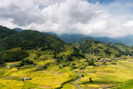 Rice fields at Northwest Vietnamのeditorial素材