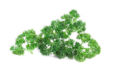 parsley isolated on white backgroundの写真素材