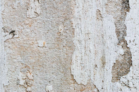 white concrete wall textureの写真素材