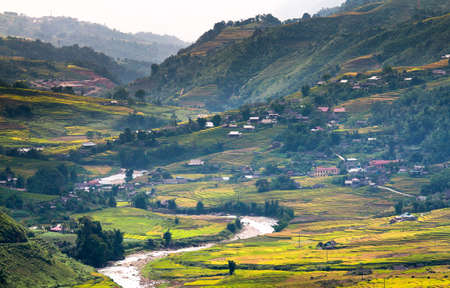 Rice fields at Northwest Vietnamのeditorial素材