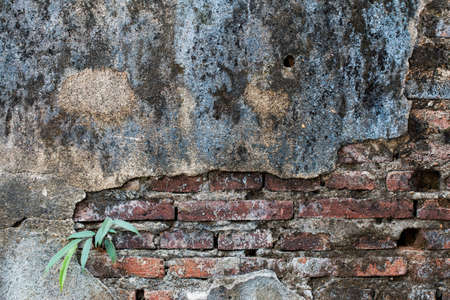 Background of brick wall textureの写真素材