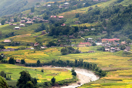 Rice fields at Northwest Vietnamのeditorial素材