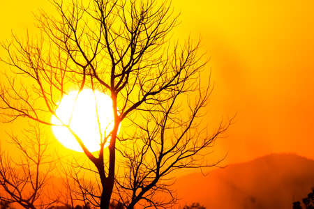 colorful dramatic sky with cloud at sunsetの写真素材