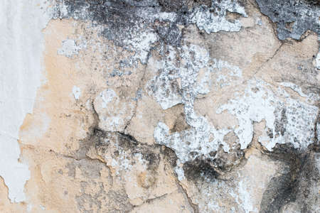 white concrete wall textureの写真素材