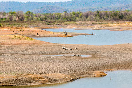 Cracked dry land without water.Abstract background.の写真素材
