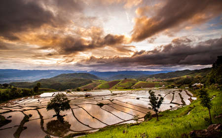 Rice fields on terraced at Chiang Mai, Thailandの写真素材