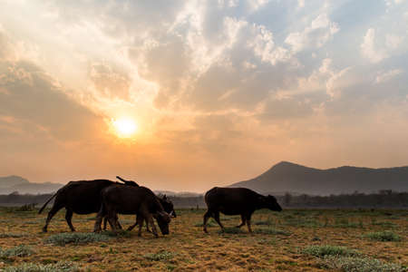 Cracked dry land without water.Abstract background.の写真素材