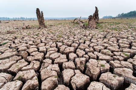 Cracked dry land without water.Abstract background.の写真素材