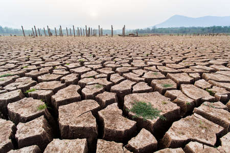 Cracked dry land without water.Abstract background.の写真素材