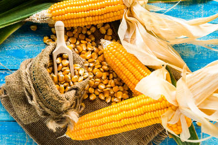 Fresh corn on cobs on rustic wooden table, closeup