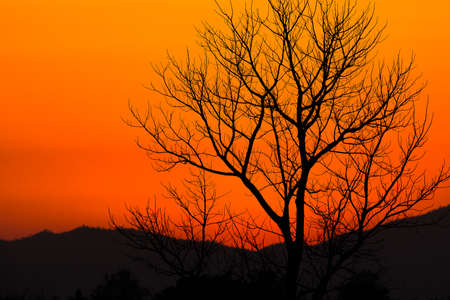 colorful dramatic sky with cloud at sunsetの写真素材