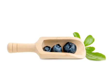 Blueberry. Two fresh blueberries with leaves isolated on white background. With clipping path.の写真素材
