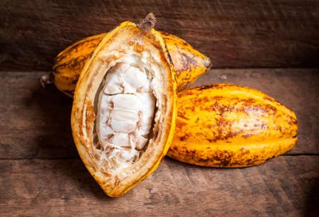 Cocoa beans and cocoa pod on a wooden surface.の写真素材
