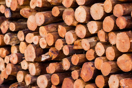 Natural wooden background - closeup of chopped firewood.