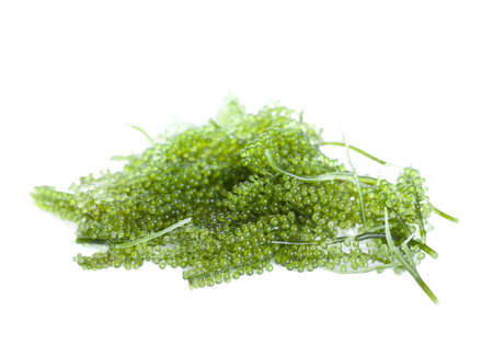 Sea grapes ( green caviar ) seaweed, Healthy food.の写真素材