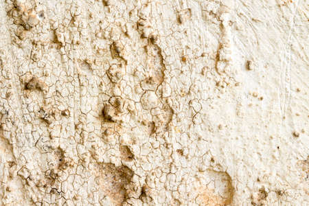 white concrete wall textureの写真素材