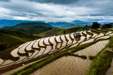 Rice fields on terraced at Chiang Mai, Thailandの写真素材