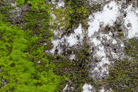 white concrete wall texture.の写真素材