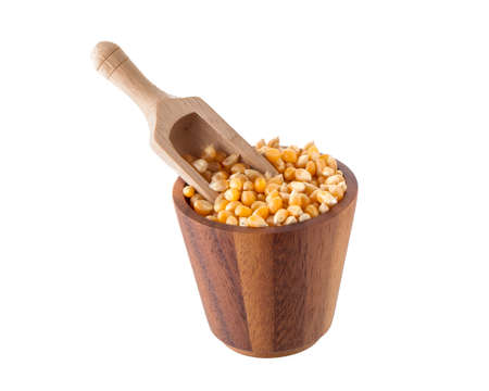 Dried corn maize isolated on the white background.の写真素材