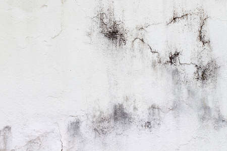 white concrete wall textureの写真素材