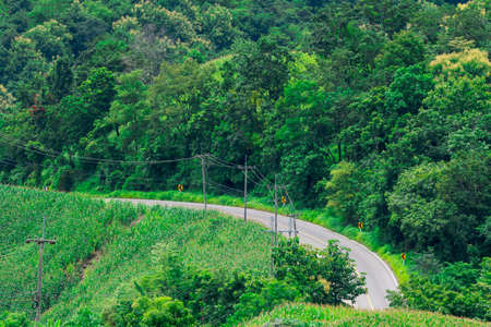 asphalt road through the green field and clouds on blue sky in summer dayの写真素材