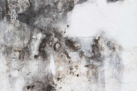 white concrete wall texture
