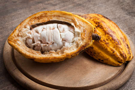Cocoa beans and cocoa pod on a wooden surface.の写真素材
