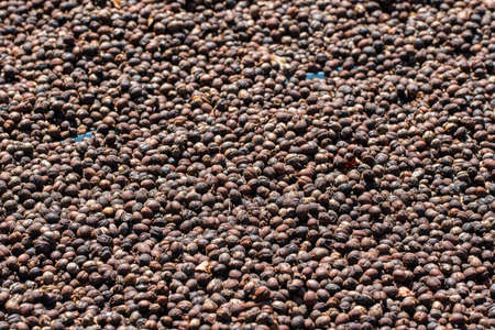 Arabica coffee beans background