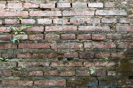 white concrete wall texture