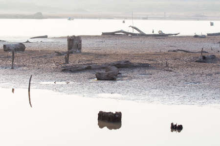 Cracked dry land without water.Abstract background.の写真素材