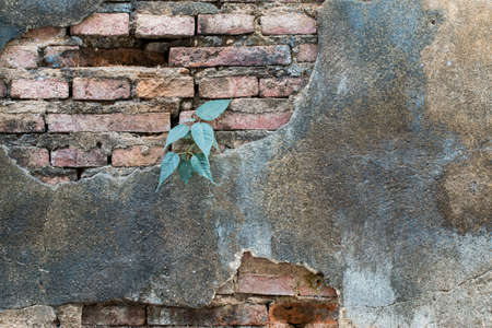 white concrete wall textureの写真素材