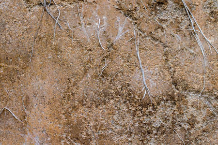 white concrete wall textureの写真素材