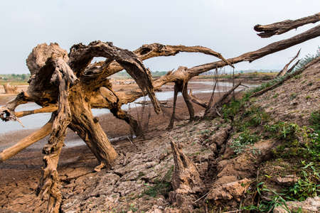 Cracked dry land without water.Abstract background.の写真素材