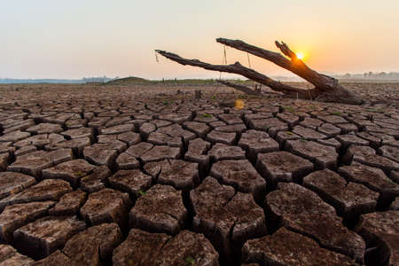 Cracked dry land without water.Abstract background.の写真素材