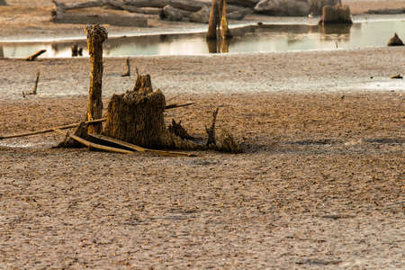Cracked dry land without water.Abstract background.の写真素材