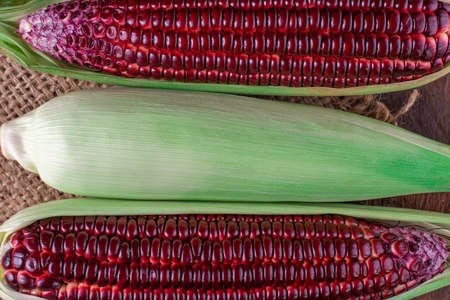 Fresh corn on cobs on rustic wooden table, closeupの写真素材