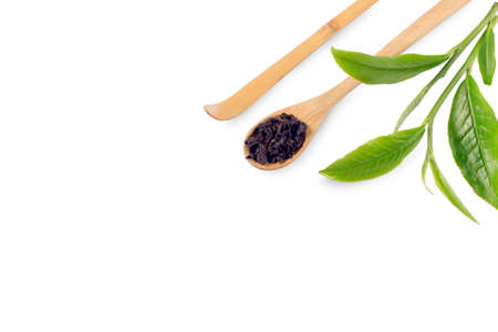 Green tea leaf isolated on white backgroundの写真素材