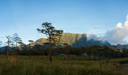 landscape silhouette at Phu Soi Dao national park Thailandの写真素材