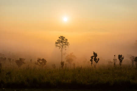 colorful dramatic sky with cloud at sunset.の写真素材