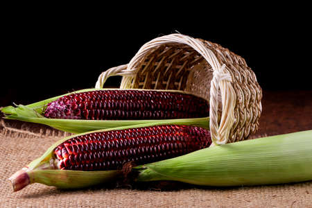 Fresh corn on cobs on rustic wooden table, closeupの写真素材