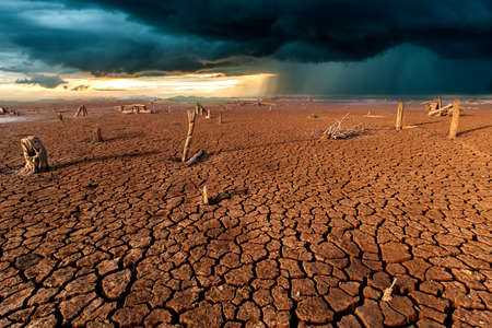 Cracked dry land without water.Abstract background.