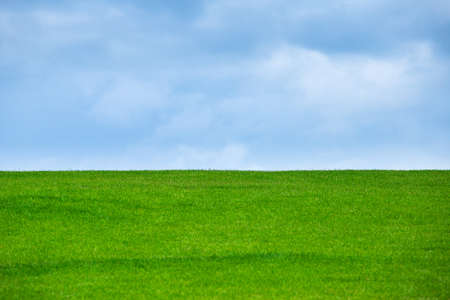 Image of green grass field and bright blue sky