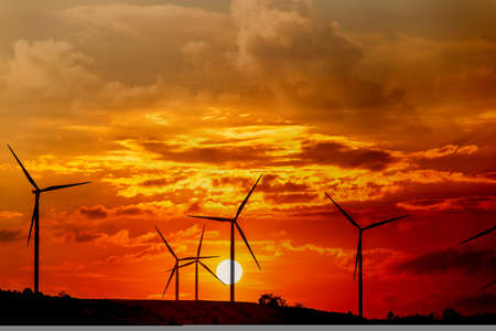 Wind turbines on sunny morning