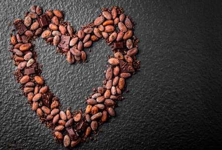 Dark chocolate pieces crushed and cocoa beans, top view