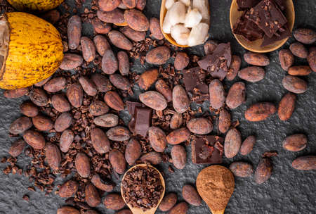 Dark chocolate pieces crushed and cocoa beans, top viewの写真素材