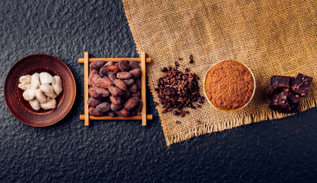 Dark chocolate pieces crushed and cocoa beans, top viewの写真素材
