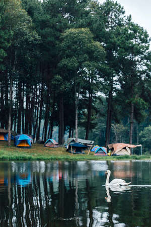 tourist tent camping in mountainsの写真素材